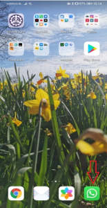 Videobellen via WhatsApp startscherm
